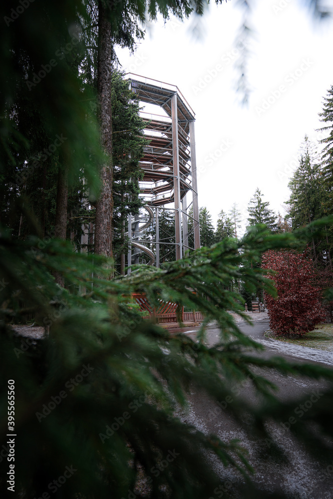 Treetop walkway tower in Lipno nad Vltavou (stezka korunami stromu) Treetop walkway tower in Lipno nad Vltavou (stezka korunami stromu)