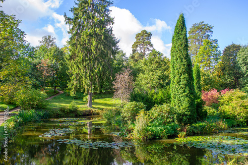 A pond with island on which thuja and other shrubs grow.