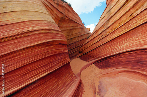 The "WAVE" #1, sand dune layers turned to stone is a surreal earthen area in the Coyote Buttes region of the Vermilion Cliffs National Monument, Arizona, USA.