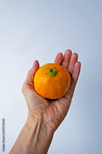Tangerine on hand in a bright background 