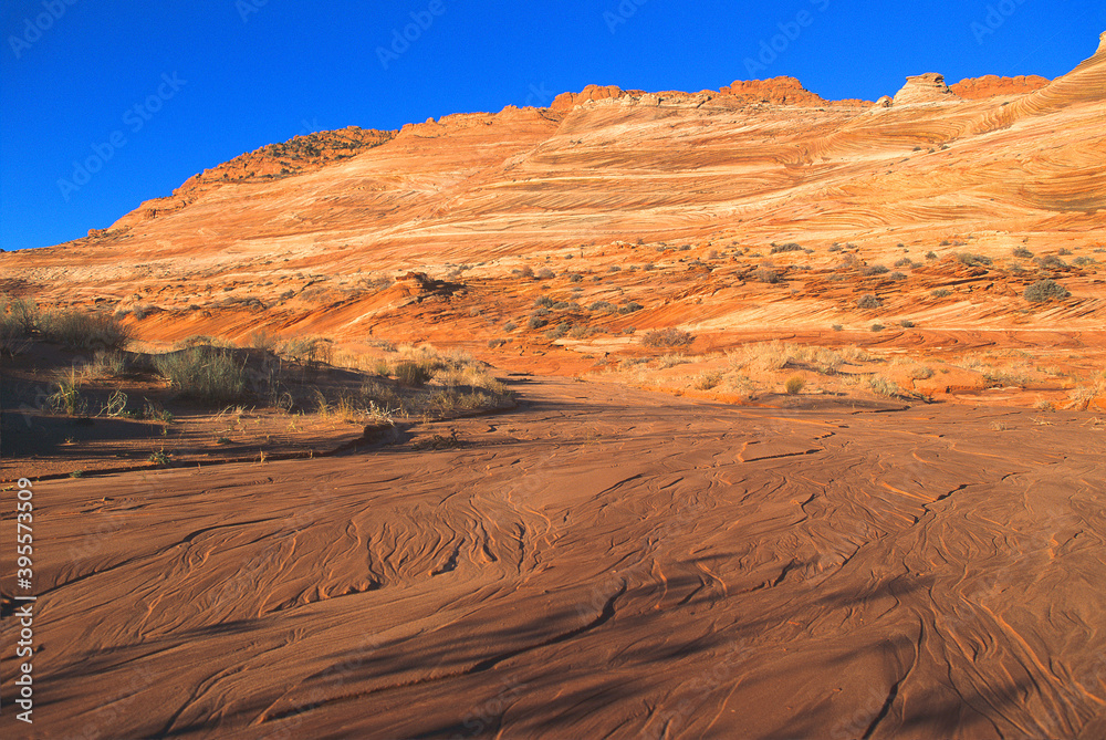 Fototapeta premium The Wave area after flash flood. A cliff of sand dune layers turned to rock with water swirly lines in wash seemed to compliment each other. Arizona, USA
