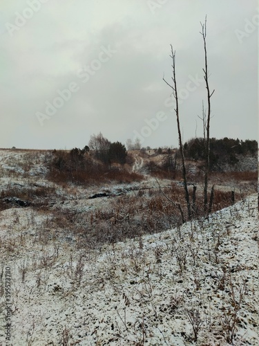 landscape on a snowy hilly area among bare trees and bushes