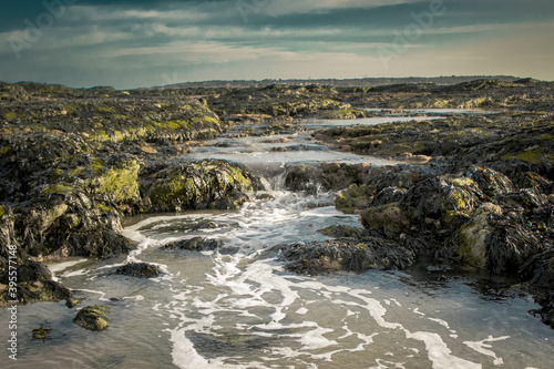 Bilde på lerret The tides receding from the Hilbre Islands.