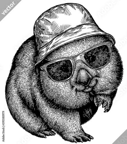 black and white engrave isolated wombat vector illustration