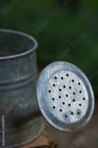 Detail Of Watering Can