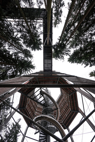 Treetop walkway tower in Lipno nad Vltavou  (stezka korunami stromu) photo