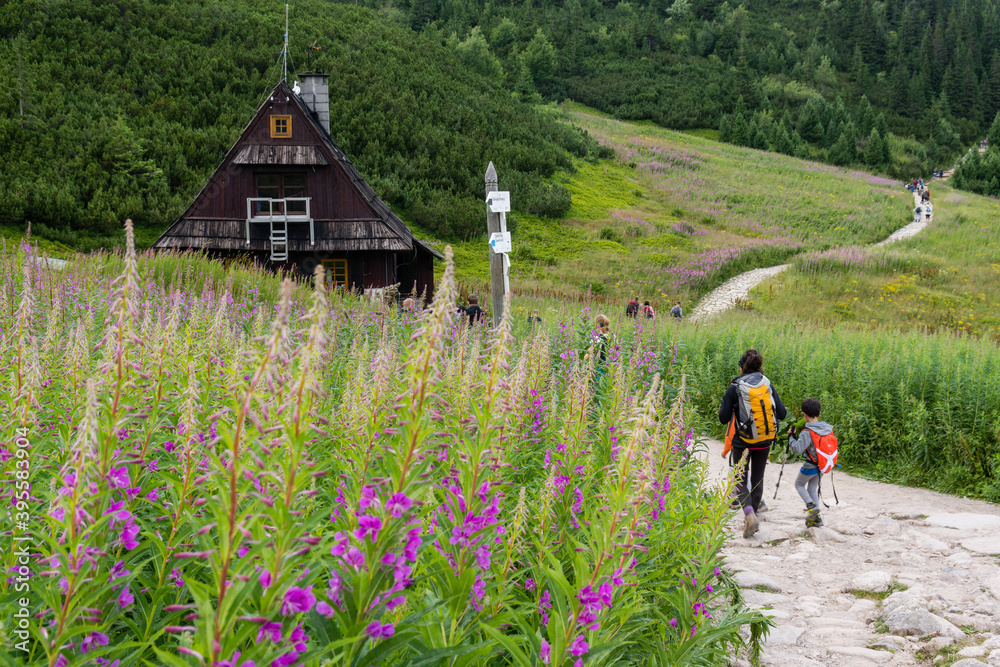 cabaña refugio Betlejemka, Valle de gasienicowa , parque nacional Tatra, voivodato de la Pequeña Polonia, Cárpatos,  Polonia, europe