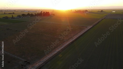 Sunset view of Central Valley California agriculture farming land with almond trees during dusk
