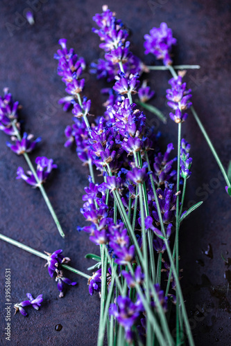 Lavender flowers photo