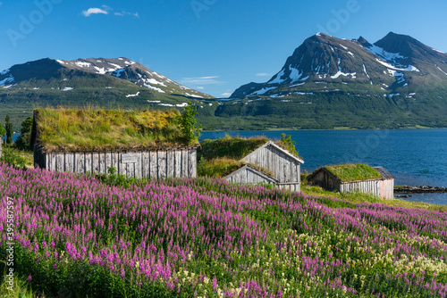 Fototapeta Naklejka Na Ścianę i Meble -  View from Kvaløya, Troms, Norway.
