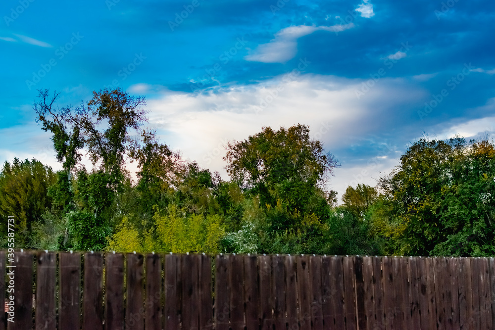 Fototapeta premium Cloudy evening sky over a residential area, over a wooden fence. Overcast gray clouds over a yellow sunset, through trees and blue dark saturated sky