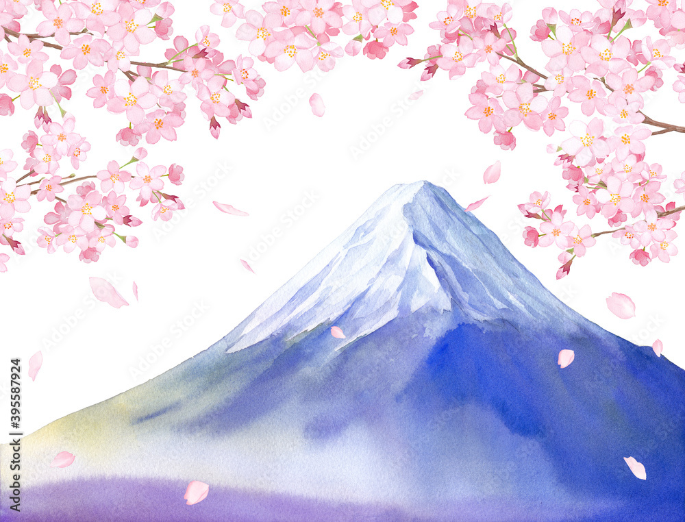 春の花 桜と富士山の景色 水彩イラスト 白背景 Stock Illustration Adobe Stock