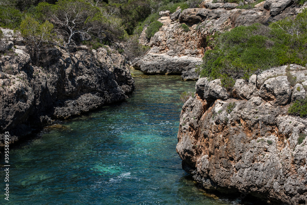 young people jumping into the water, Cala Beltran, Llucmajor, Mallorca, Balearic Islands, Spain