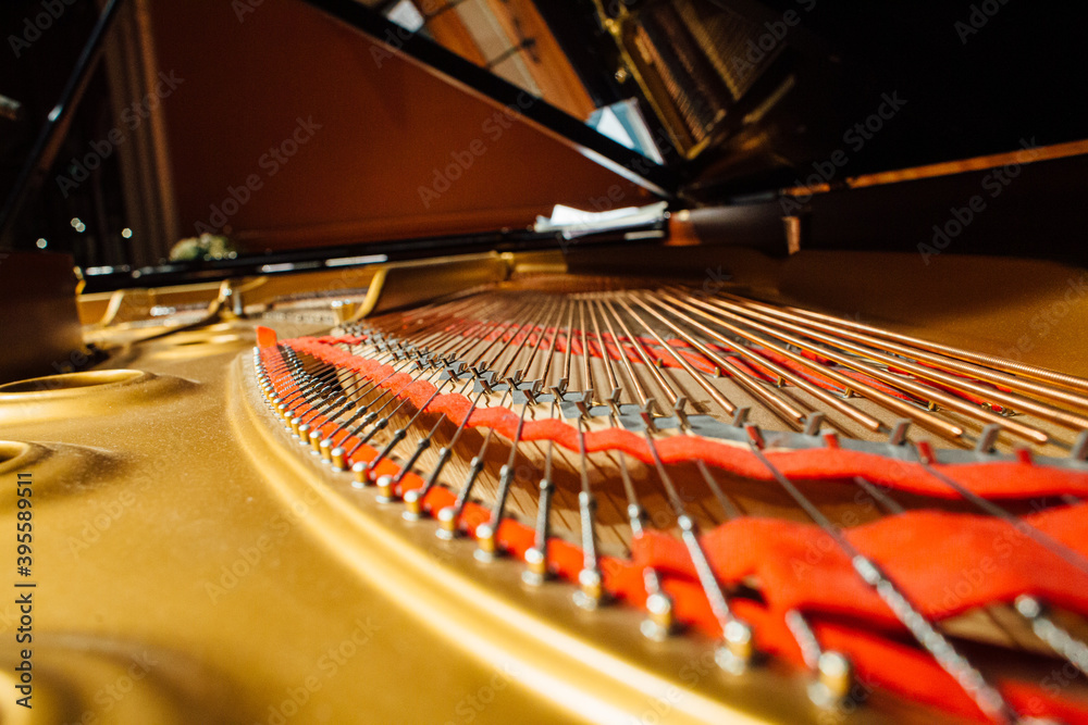 close-up of piano, grand piano cast with strings close-up of piano, grand piano cast with strings