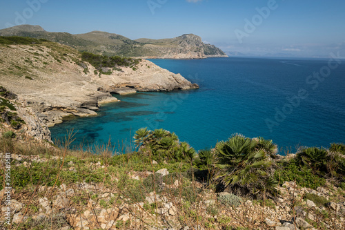 Sa Falconera, Aubarca, Arta, Mallorca, Balearic Islands, Spain