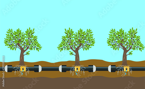 Underground or in ground drip irrigation system. Water irrigation. Automatic sprinklers system. Vector illustration flat design. Smart farming application concept. Saving water and time