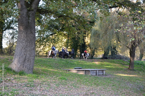 Saint-Herblain - Parc du Val de Chézine - Promenade en poney