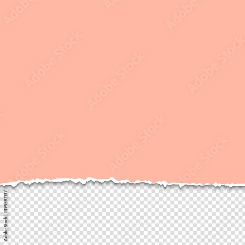 Torn paper. Half sheet of pink page. Vector edge sheet. Blank scrapbook template.