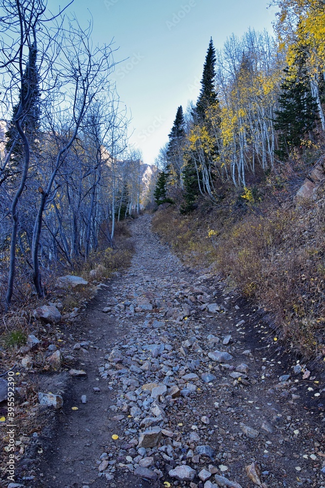 Obraz premium White Pine Lake Trail mountain landscape scenic towards White Baldy and Pfeifferhorn hiking trail in Little Cottonwood Canyon, Wasatch Rocky mountain Range, Utah, United States. 