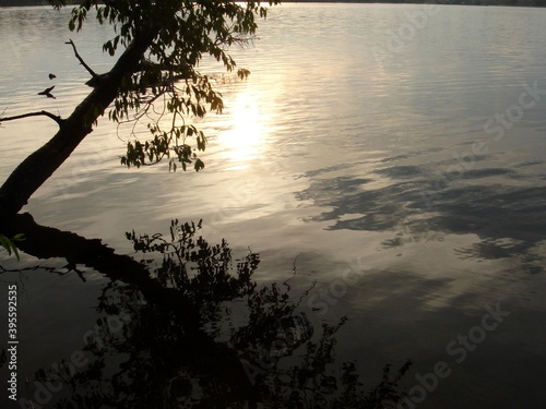 
Beautiful evening view of the lake