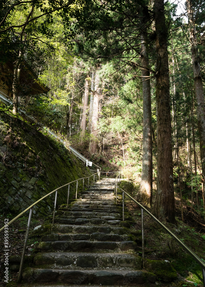 Mountain path leading to Iwayaji, temple number 45 of Shikoku pilgrimage - Ehime prefecture, Japan Mountain path leading to Iwayaji, temple number 45 of Shikoku pilgrimage - Ehime prefecture, Japan