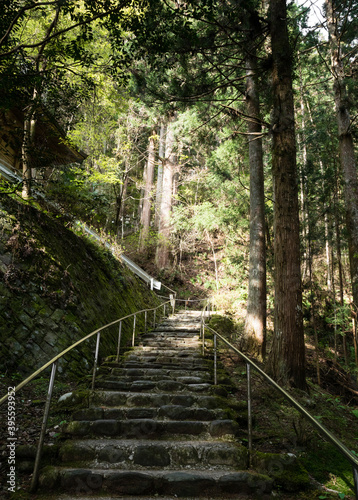 Fototapeta Naklejka Na Ścianę i Meble -  Mountain path leading to Iwayaji, temple number 45 of Shikoku pilgrimage - Ehime prefecture, Japan