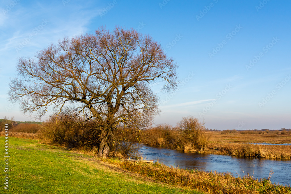 Jesień w Biebrzańskim Parku Narodowym, Podlasie, Polska Jesień w Biebrzańskim Parku Narodowym, Podlasie, Polska
