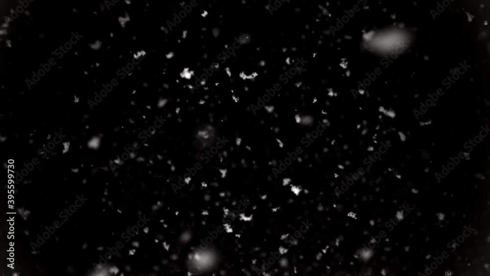 Slow motion shot of real snow over black background. Fluffy natural snowflakes slowly fall down. Isolated on black. Winter background