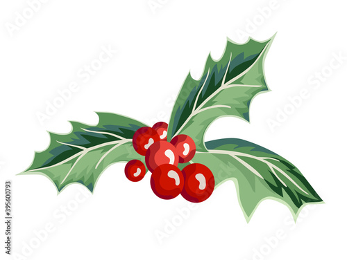 Illustration of Holly Berries.