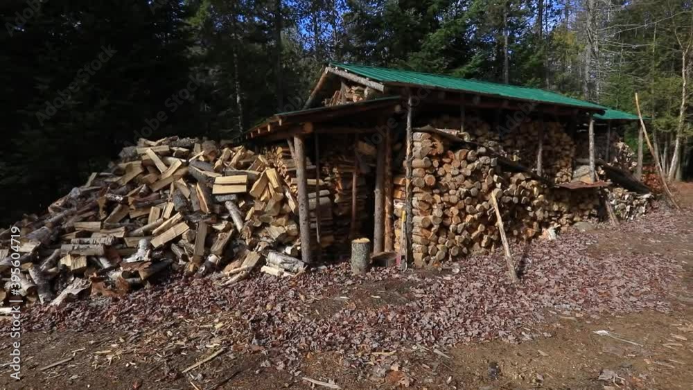 Camera panning and moving quickly away from a supply of firewood stacked to be used in the winter. Survialism and adventure living in the forest. Camera panning and moving quickly away from a supply of firewood stacked to be used in the winter. Survialism and adventure living in the forest.