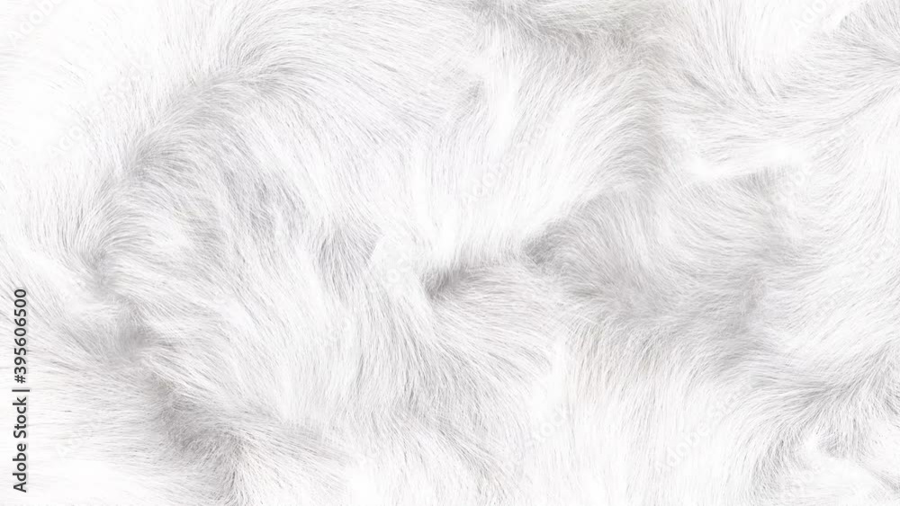 Close up of white  fur animation, 3D generated, slowly waving white soft fur texture.