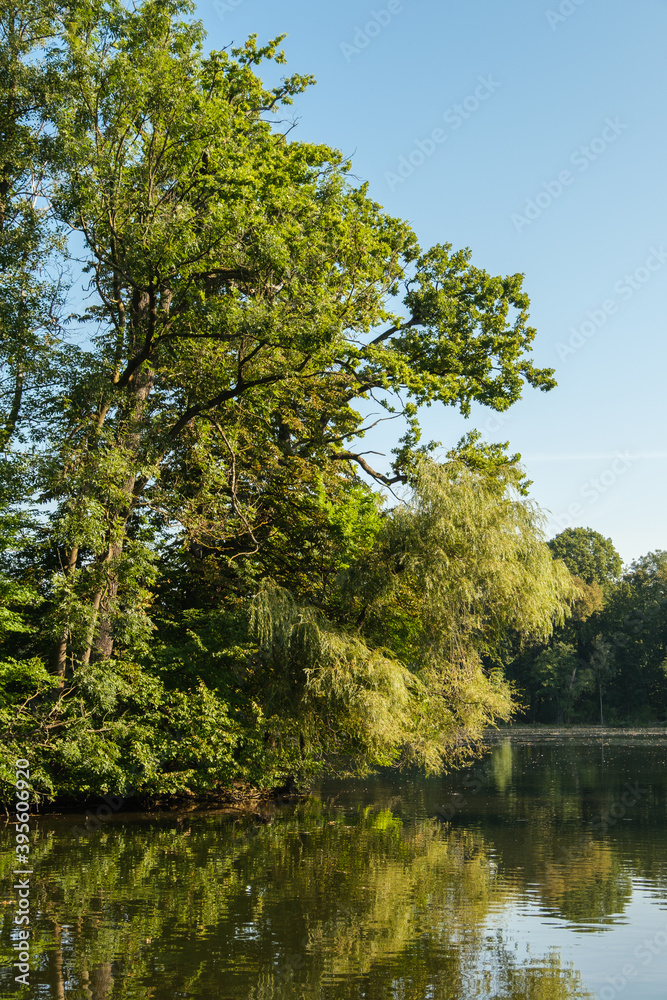 Hochformat: Ufer-Landschaft an einem Gewässer mit Spiegelung von grünen Bäumen und Hecken im Wasser