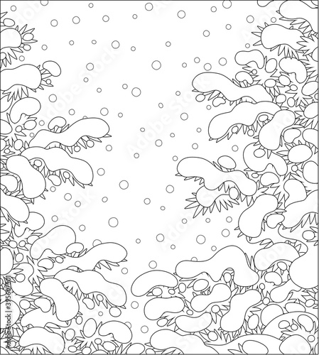 Snow-covered prickly fir branches in a white winter forest on a snowy and frosty beautiful day, black and white outline vector cartoon illustration for a coloring book page