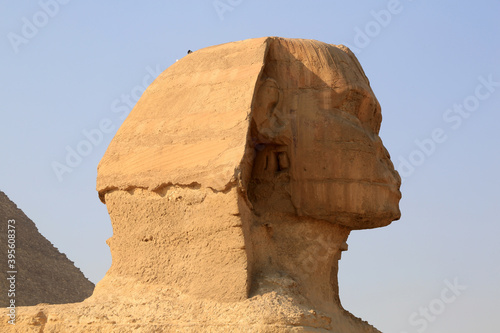 Sphinx in Ägypten / Kairo/Gizeh
