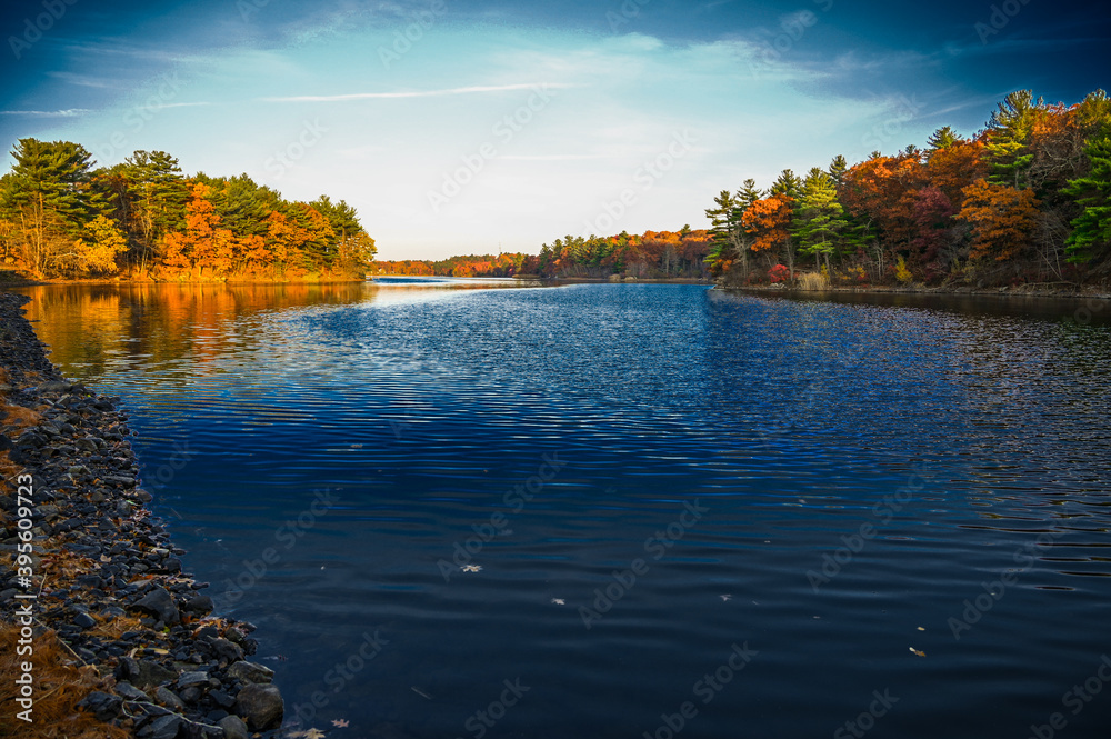 Obraz premium autumn in the park