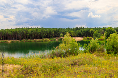 View of a beautiful lake in a pine forest at summer