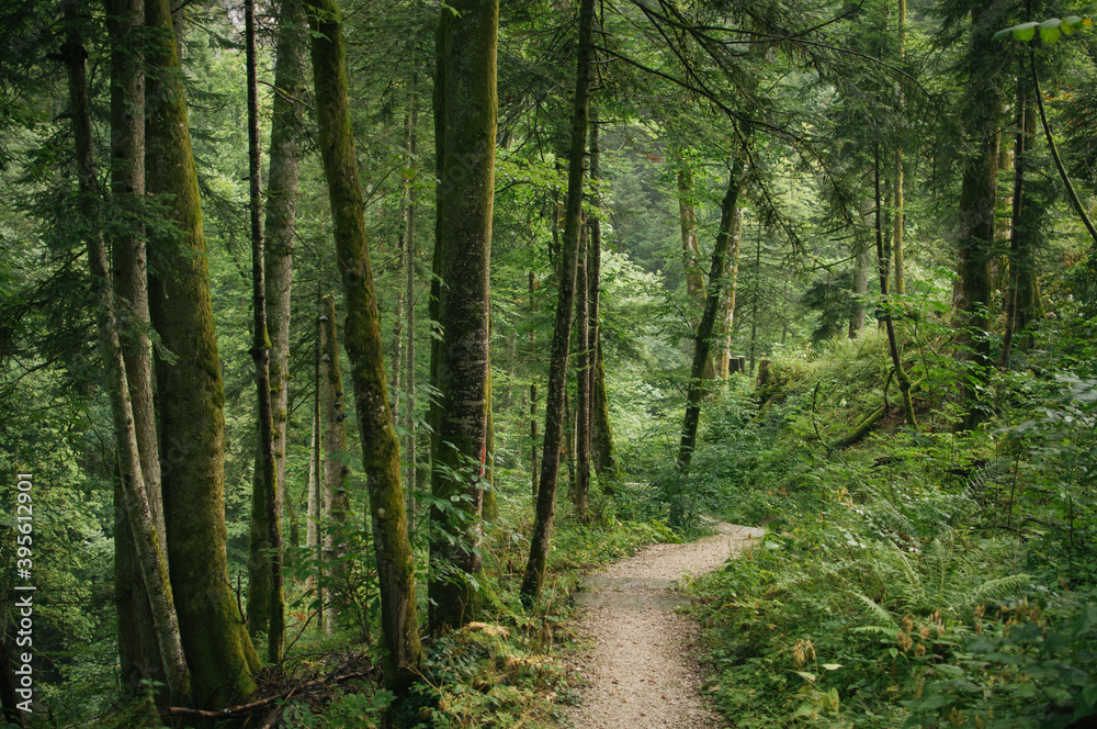 Obraz premium Hiking in Dachstein mountains (Dachsteingebirge