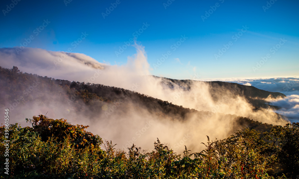 Low morning clouds rise between the ridges of the Blue Ridge Mountains in North Carolina