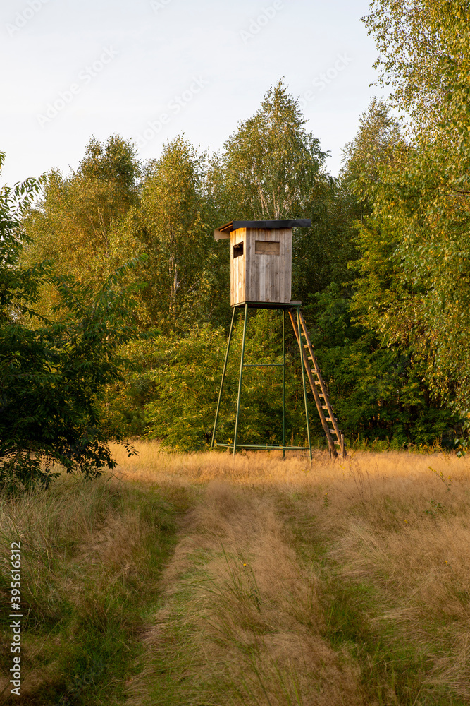 hunters pulpit on a meadow during a sunny evening hunters pulpit on a meadow during a sunny evening