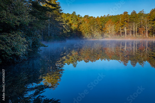 Mist surrounds the shore of autumn colored trees on Stone Lake in Pisgah Forest © Jo