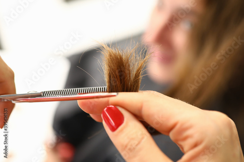 Hairdresser hold strand of hair in her hand and cut part of it with scissors to visitor close-up in beauty salon.