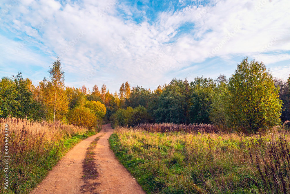 Autumn landscape on a Sunny day . Field road going into the distance.