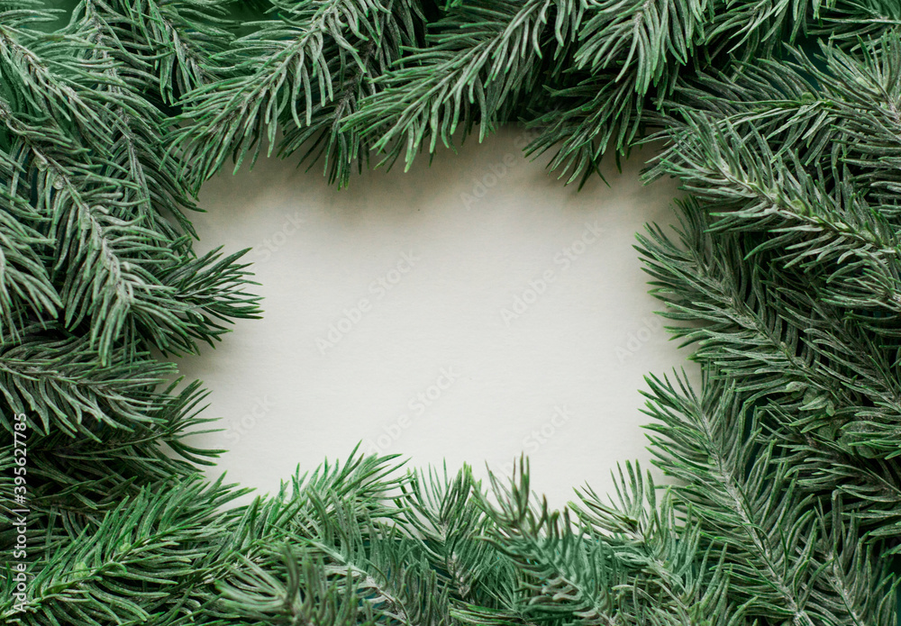 Fir branches border on white background, good for christmas backdrop