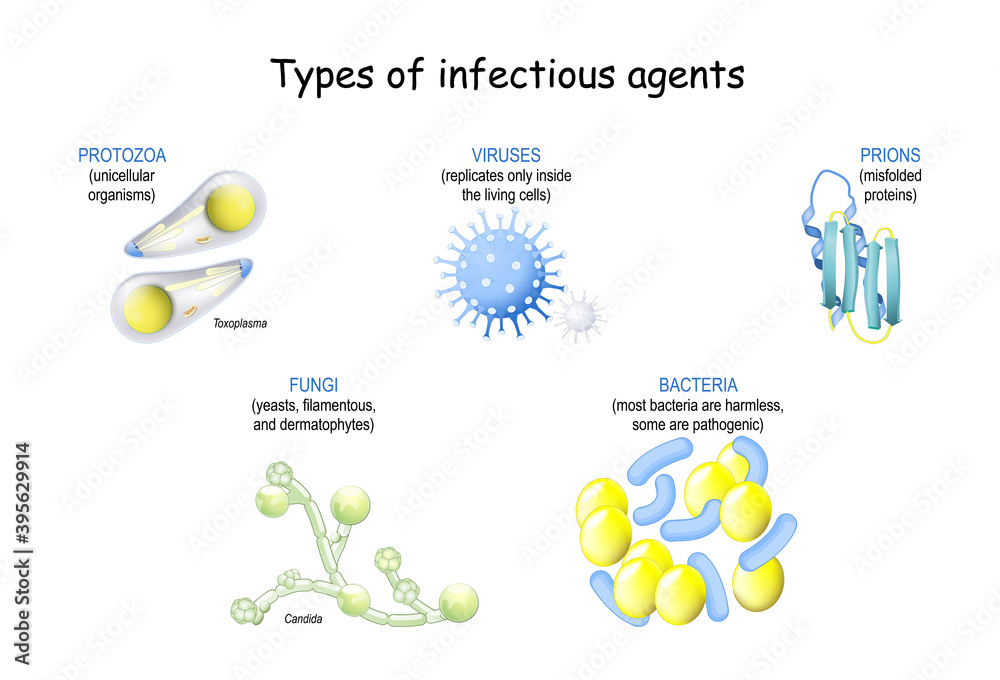 pathogen. infection from prions and viruses, to bacteria, fungi and