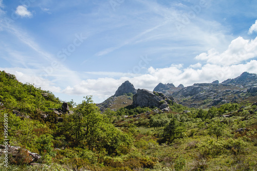 Green mountain landscape