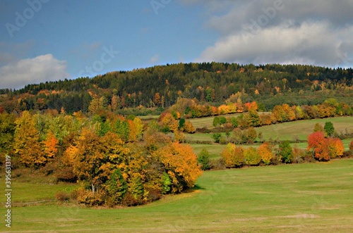 Autumn forest and meadow scenery