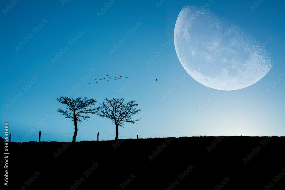 landscape of moon and trees with birds flying
