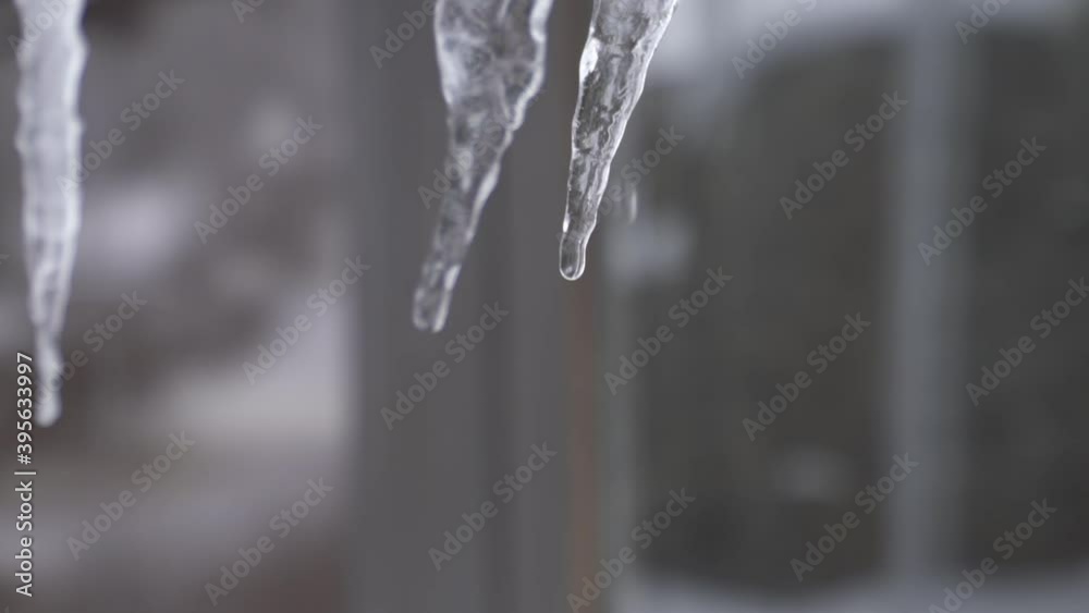 Beautiful dripping icicles. Close up Shot Beautiful dripping icicles. Close up Shot