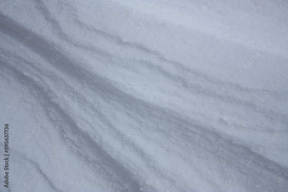 Stretch marks in the white snow that herald the harsh winter