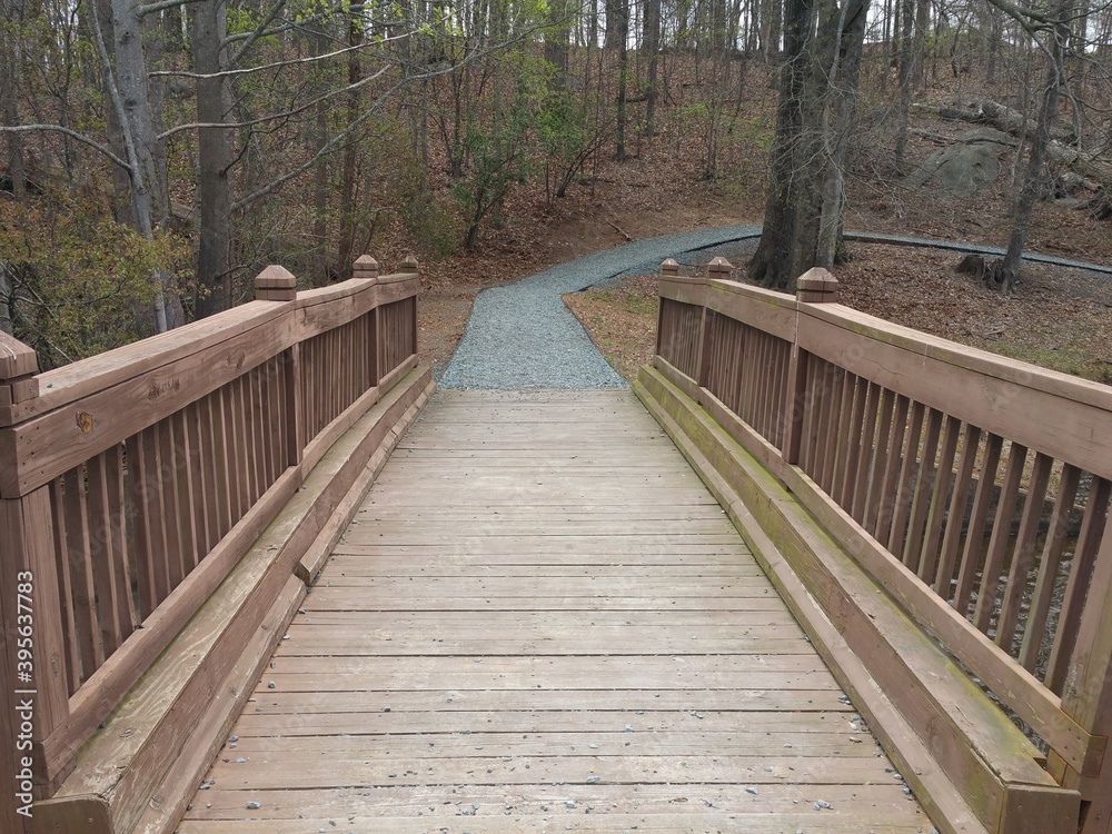 Fototapeta premium wooden bridge in the woods